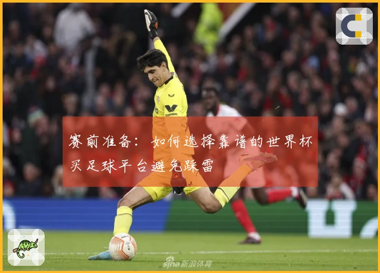赛前准备：如何选择靠谱的世界杯买足球平台避免踩雷