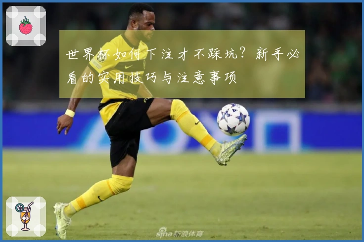 世界杯如何下注才不踩坑？新手必看的实用技巧与注意事项